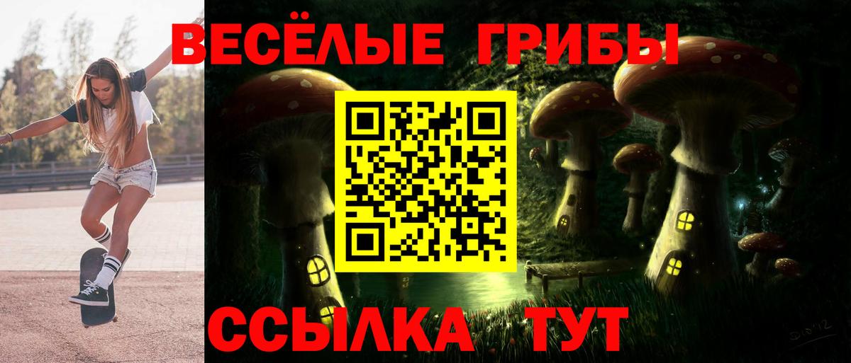 Псилоцибиновые грибы GOLDEN TEACHER Старая Русса
