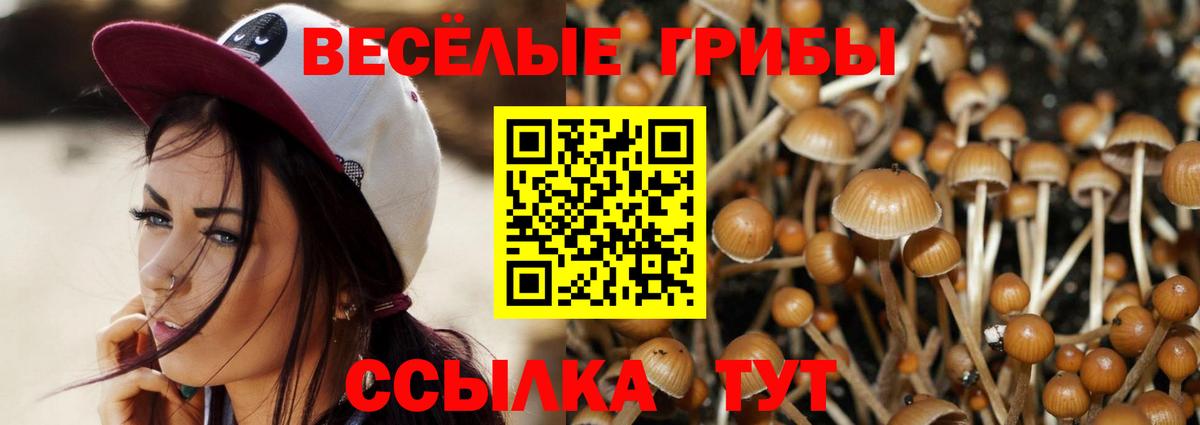 Старая Русса  Псилоцибиновые грибы Magic Shrooms  Вход с VPN 